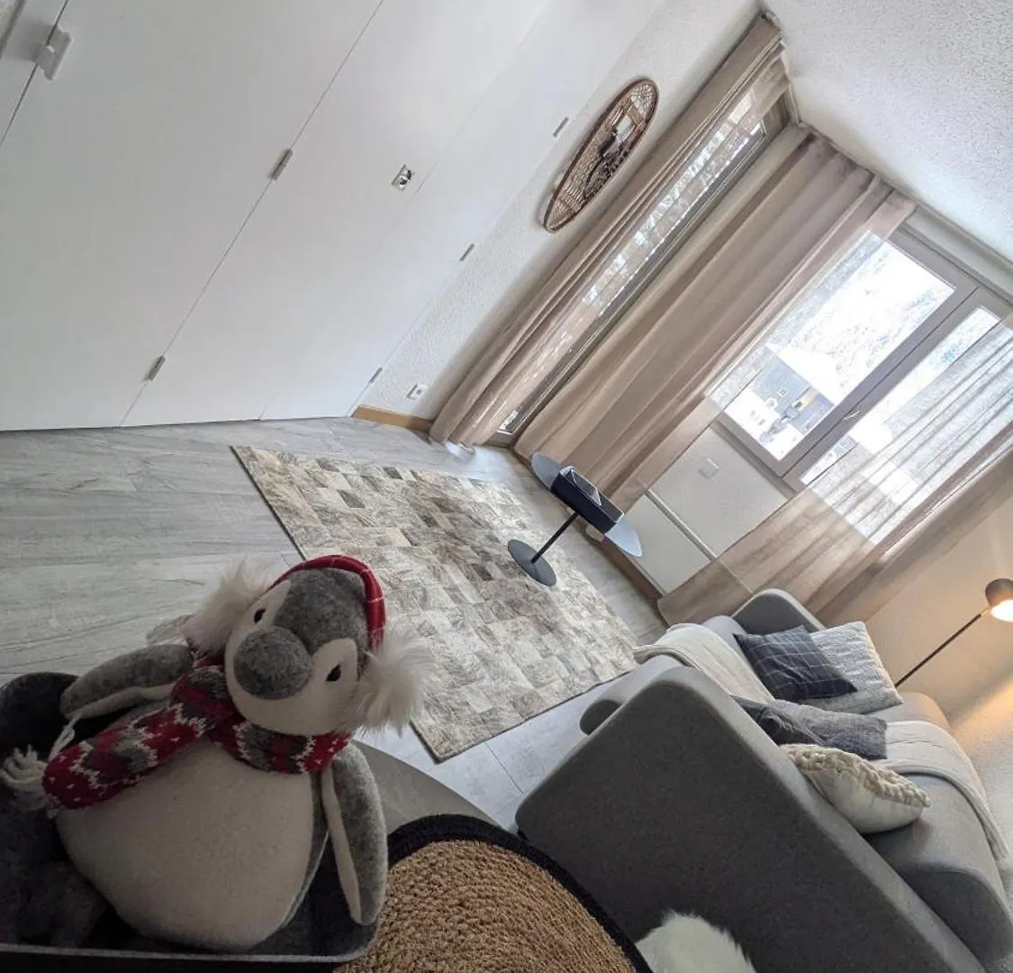 L'Oursina Apartment Chamonix